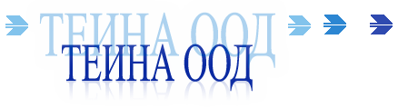 teina_logo